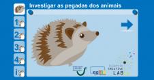 Investigar as pegadas dos animais