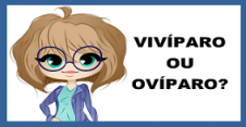 viviparo