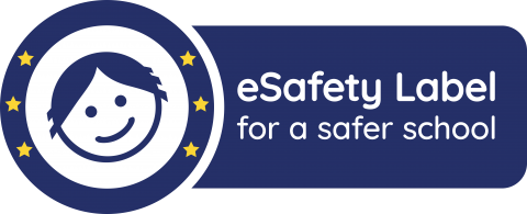 eSAFETY