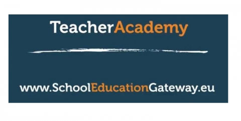 teacher academy