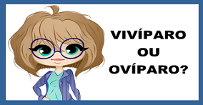 viviparo