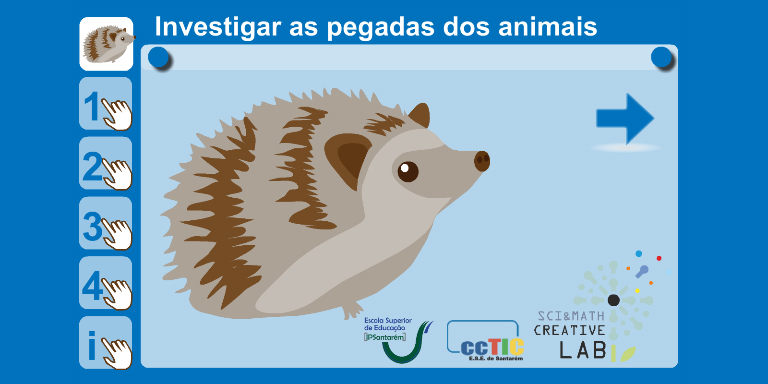 pegadas de animais