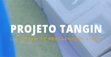 TangIn- Programação tangível e inclusão